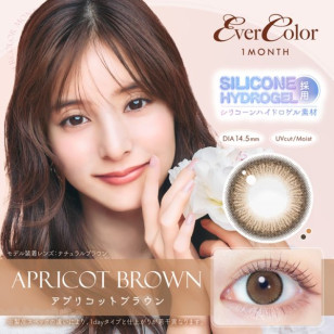 EverColor1month – Apricot Brown 月拋 每盒2片