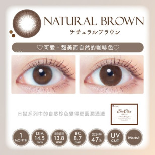 EverColor1month – Natural Brown 月拋 每盒2片