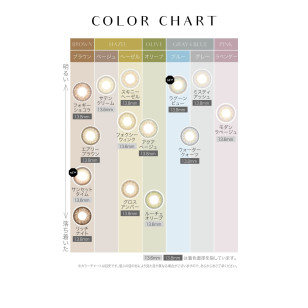 EverColor1day – LUQUAGE Foggy Chocolate 日拋 每盒10片