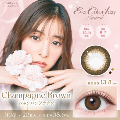 EverColor1day – Natural UV Champagne Brown 日拋 每盒20片