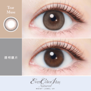 EverColor1day –  Natural MOIST LABEL UV Tear Muse 日拋 每盒20片