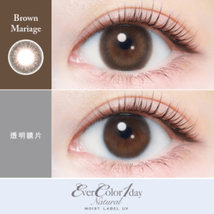 EverColor1day –  Natural MOIST LABEL UV Brown Mariage 日拋 每盒20片