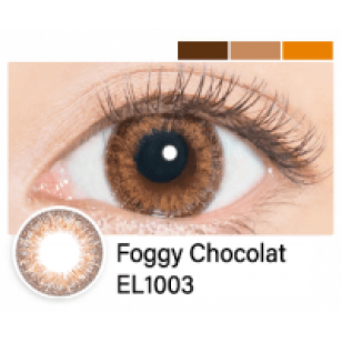 EverColor1day – LUQUAGE Foggy Chocolate 日拋 每盒10片