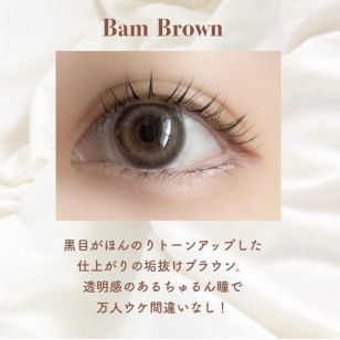 Hapa Kristin 1DAY Dear Deer Bam Brown(10片裝)