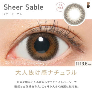 ReVIA 1 Day Sheer Sable 10片裝