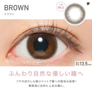 ReVIA 1 Day Brown 10片裝