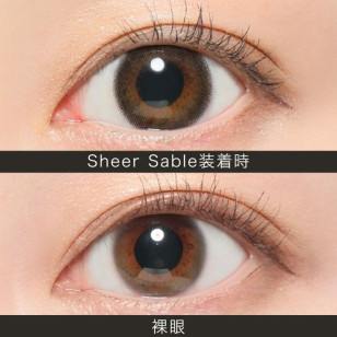 ReVIA 1 Month Sheer Sable 每盒1片