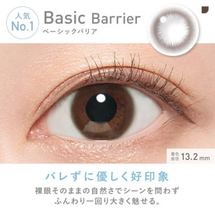 ReVIA 1 Day Barrier Basic Barrier 10片裝