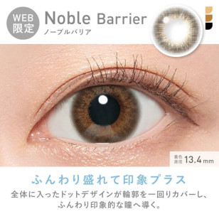 ReVIA 1 Day Barrier Noble Barrier 10片裝