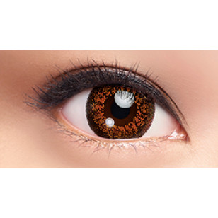 LACELLE COLOR CON系列 1 day 朗銅 CHARMING BRONZE 日拋 每盒30片