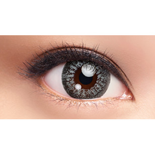 LACELLE COLOR CON系列 1 day 冷灰 FROZEN GREY 日拋 每盒30片