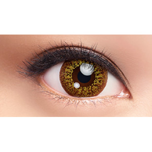 LACELLE COLOR CON系列 1 day 耀金 VIVID GOLD 日拋 每盒30片