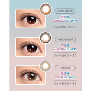 LACELLE NEW ICONIC系列 6選色 1Day 30片