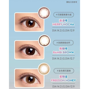 LACELLE NEW ICONIC系列 6選色 1Day 30片