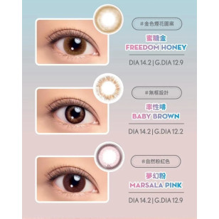 LACELLE NEW ICONIC系列 6選色 1Day 30片