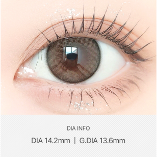 LensVery 1month – ShuShu Brown舒舒啡 月拋 2片裝