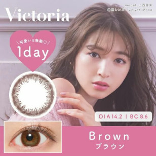 Victoria 1day – Simple Series Brown 日拋 每盒10片 (門市現貨)