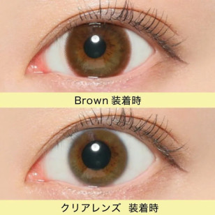 Victoria 1day – Simple Series Brown 日拋 每盒10片 (門市現貨)